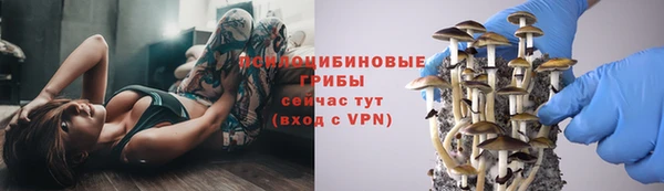 apvp Армянск
