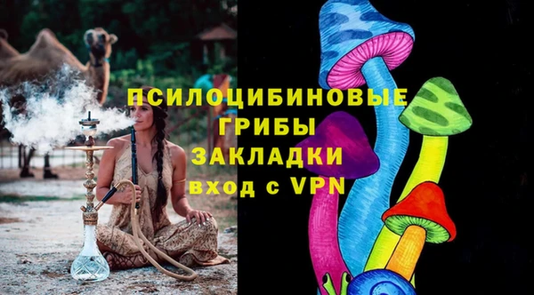 apvp Армянск