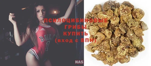 прущая мука Арсеньев