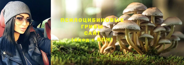 соль ск Аркадак