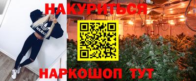 ПСИЛОЦИБИНОВЫЕ ГРИБЫ Дмитров