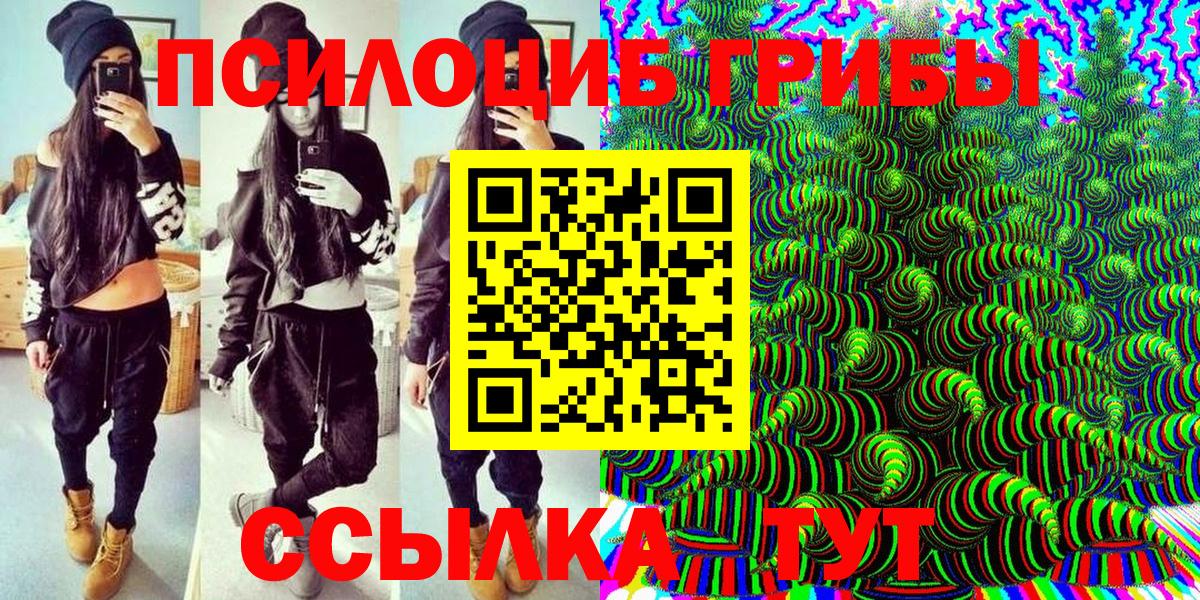 Галлюциногенные грибы Psilocybe Большой Камень